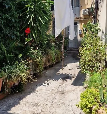 Myourhome